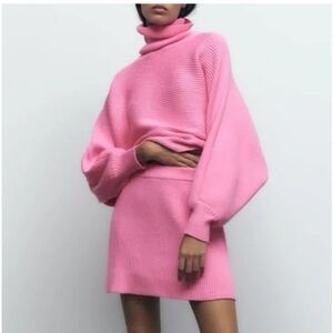 NWT Zara Pink Sweater & Skirt Set